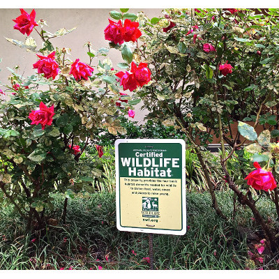 View of UUFF garden roses and certified wildlife habitat sign