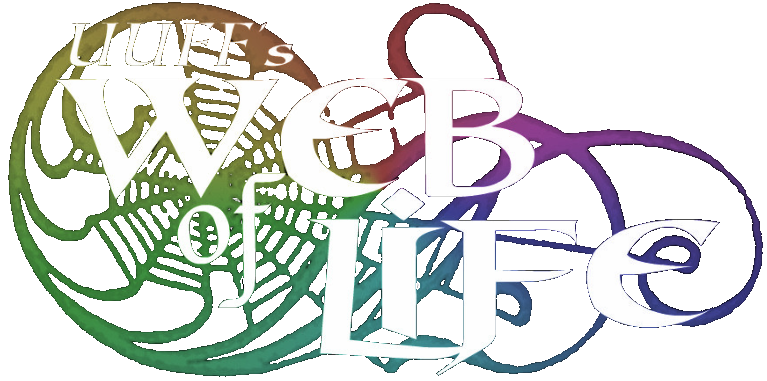 Web of Life Midsummer Ritual Potluck is coming up on Sunday, June 26th at 1pm!