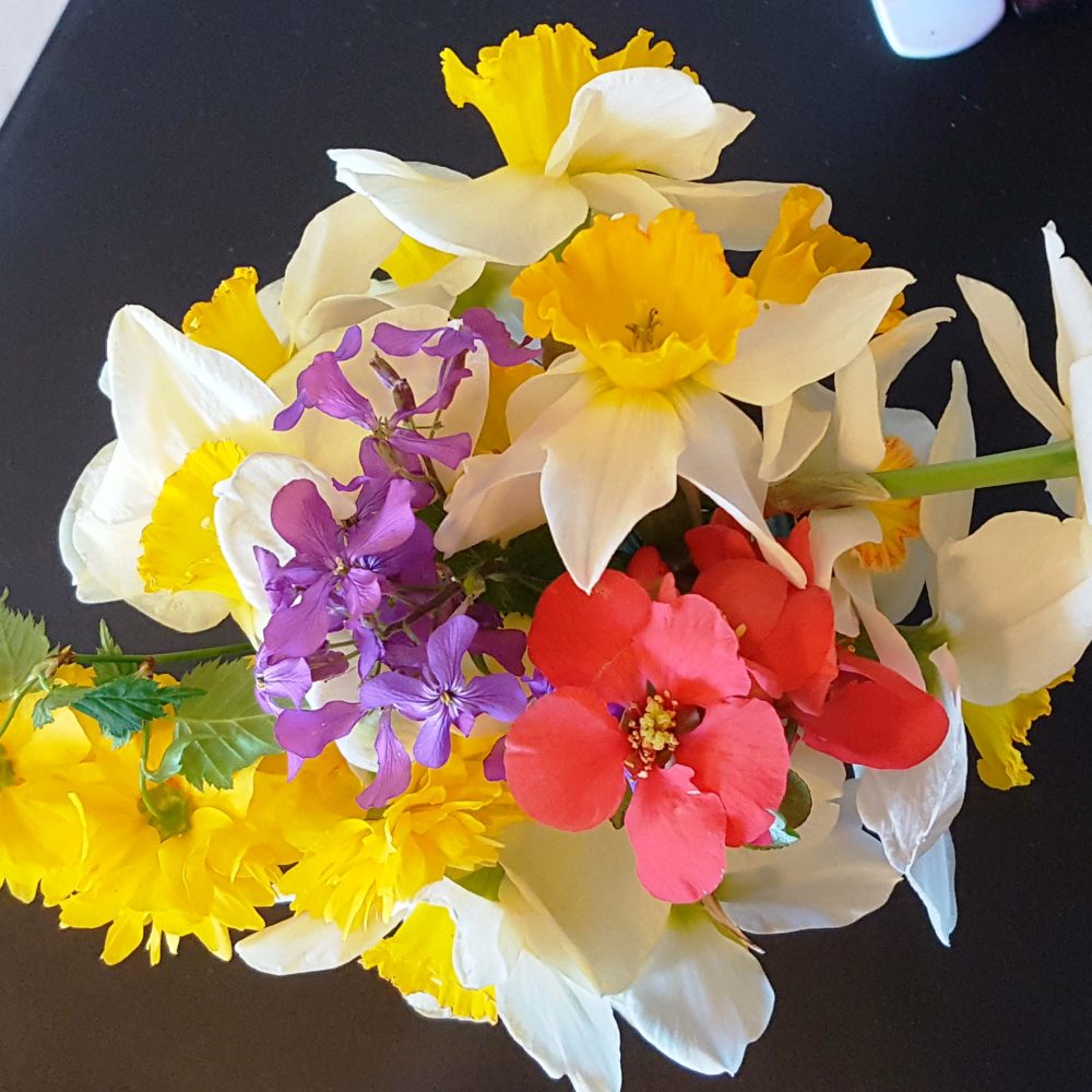 Spring 2020 Johnson Farm bouquet