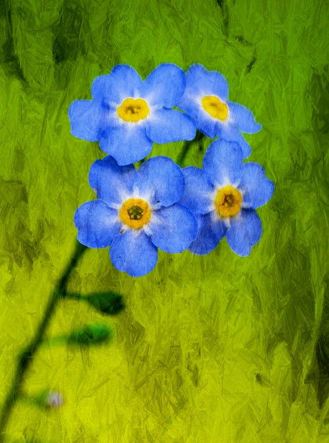royal blue flowers on green background